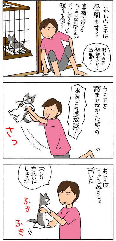 コクシジウムウンチ戸の戦いの猫漫画