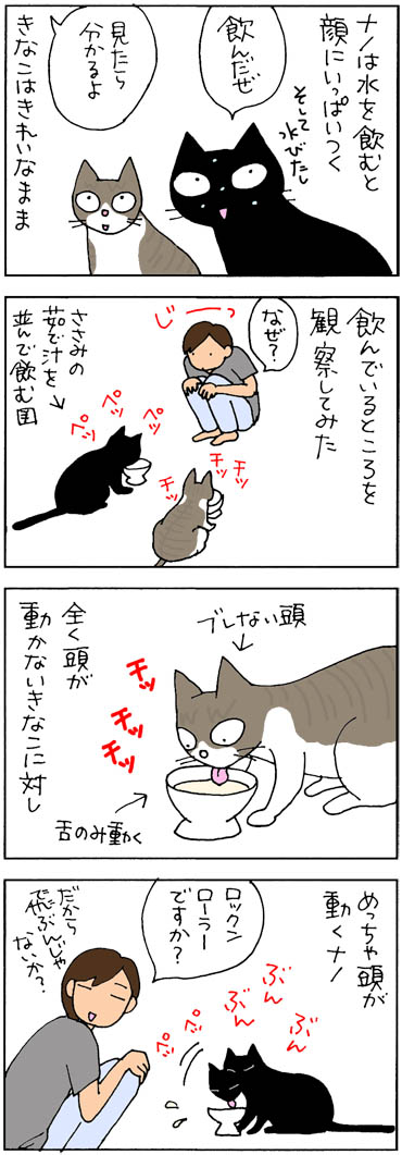 猫の水の飲み方の4コマ猫漫画