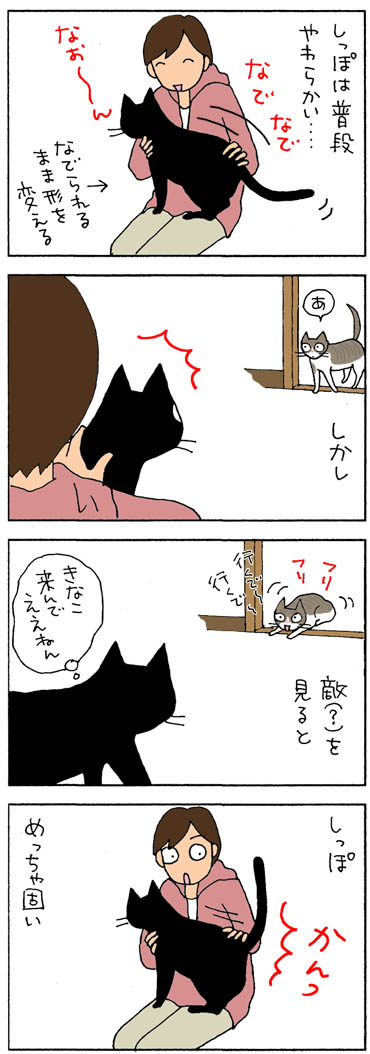 意思あるしっぽ 4コマ猫漫画 ナノトクラス