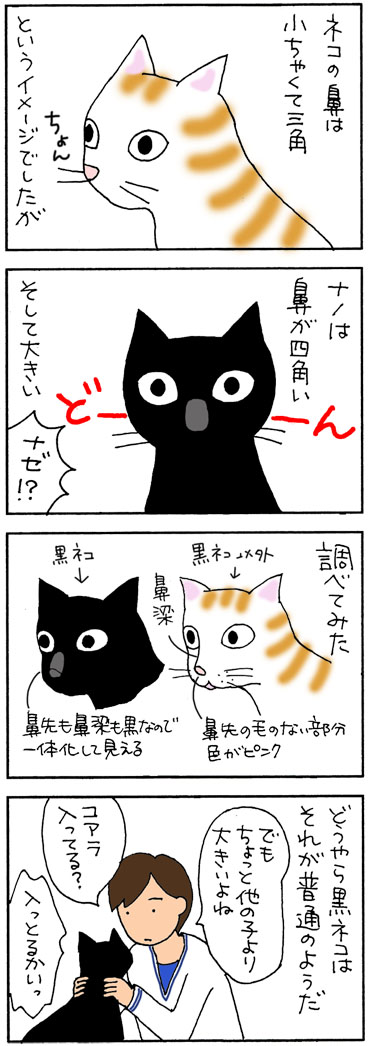 黒ネコの鼻の4コマ猫漫画