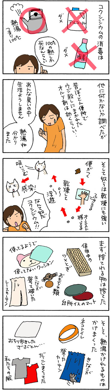 コクシジウムの消毒の猫漫画