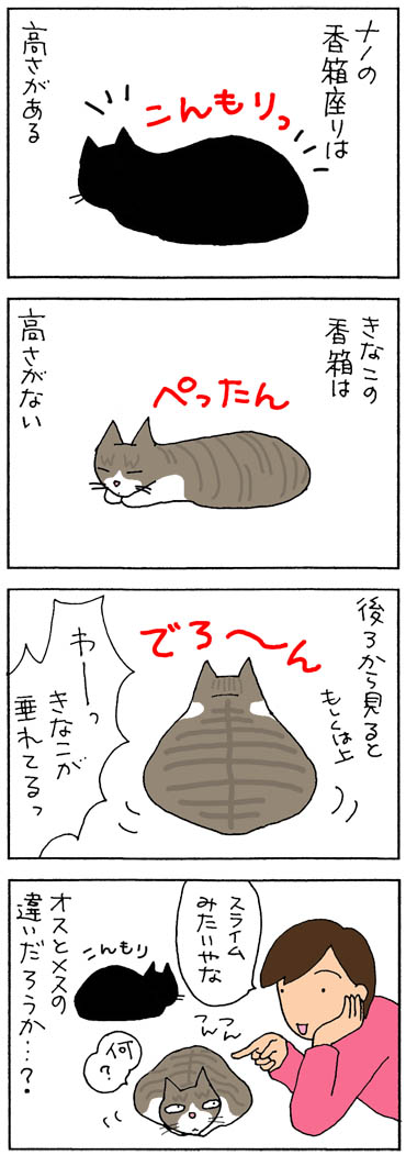 香箱座りの4コマ猫漫画