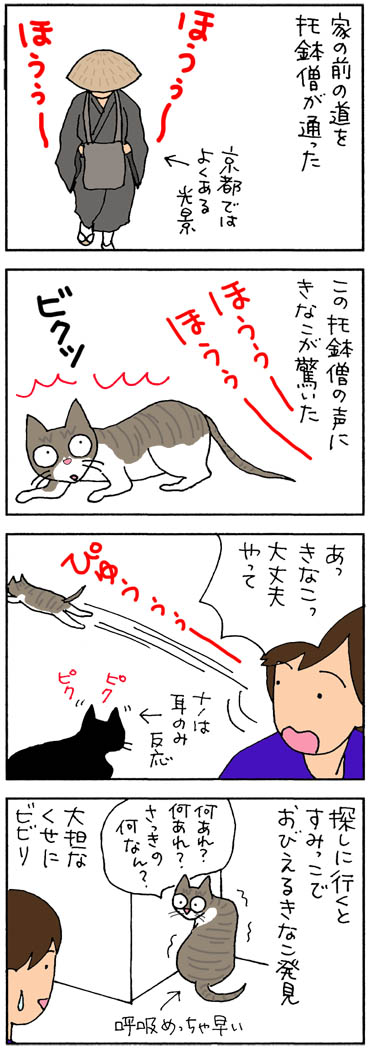 托鉢僧の声にビビる猫の4コマ猫漫画