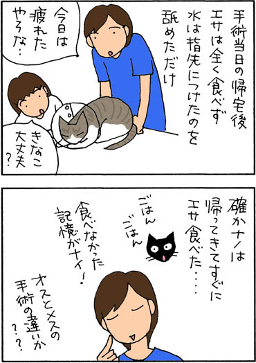 避妊手術当日の猫漫画
