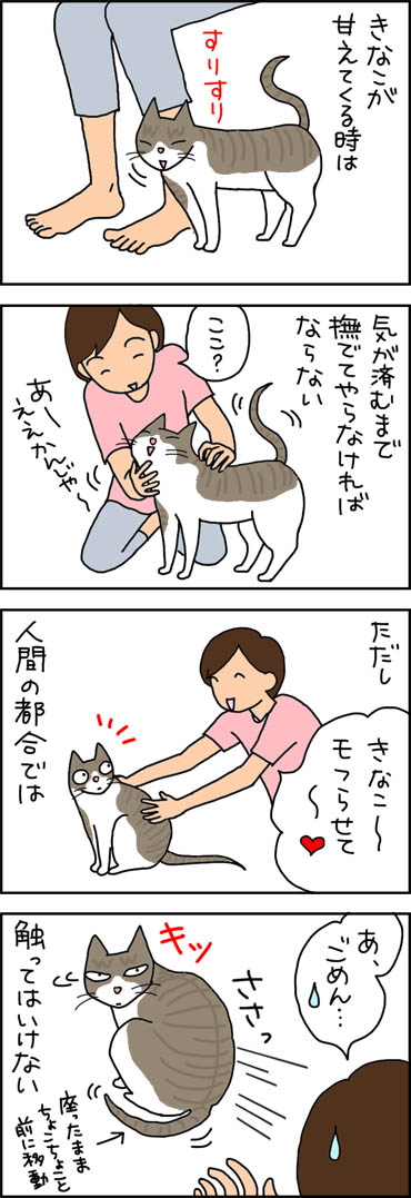 猫は触っていいときと悪いときがある猫漫画