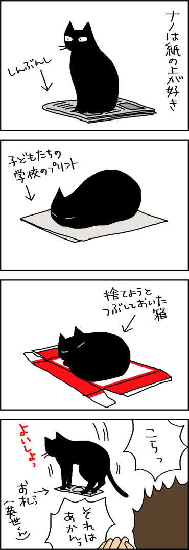 紙が好きな猫の4コマ猫漫画
