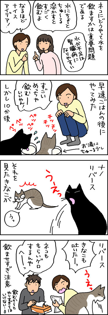 猫の水のみ対策の4コマ猫漫画