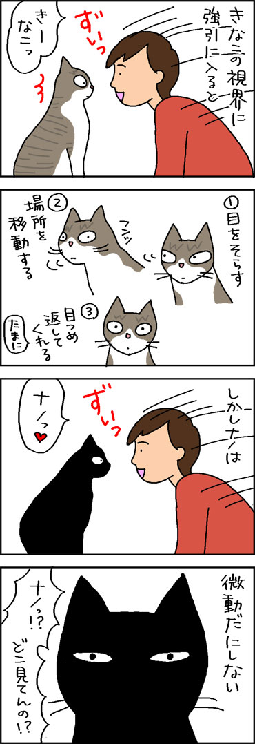 猫と目を合わす4コマ猫漫画