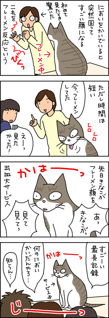 猫のフレーメン反応の4コマ猫漫画