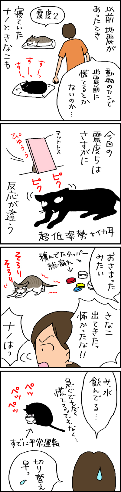 地震と猫の反応の4コマ猫漫画