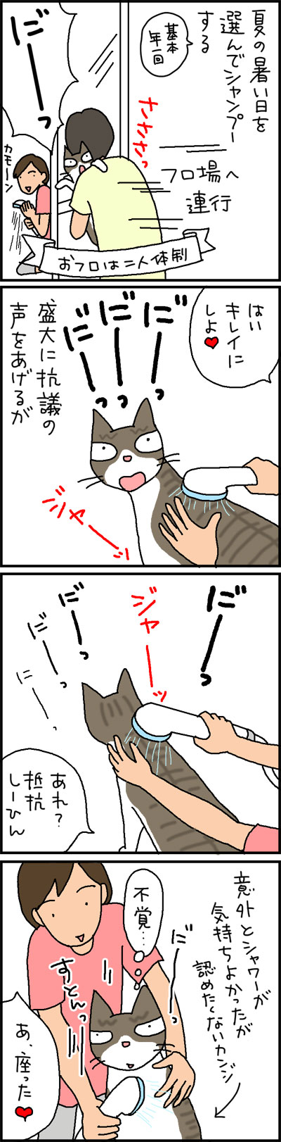 猫をシャンプーする4コマ猫漫画