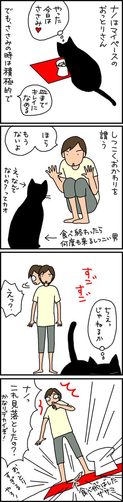 見逃したナノ 4コマ猫漫画 ナノトクラス