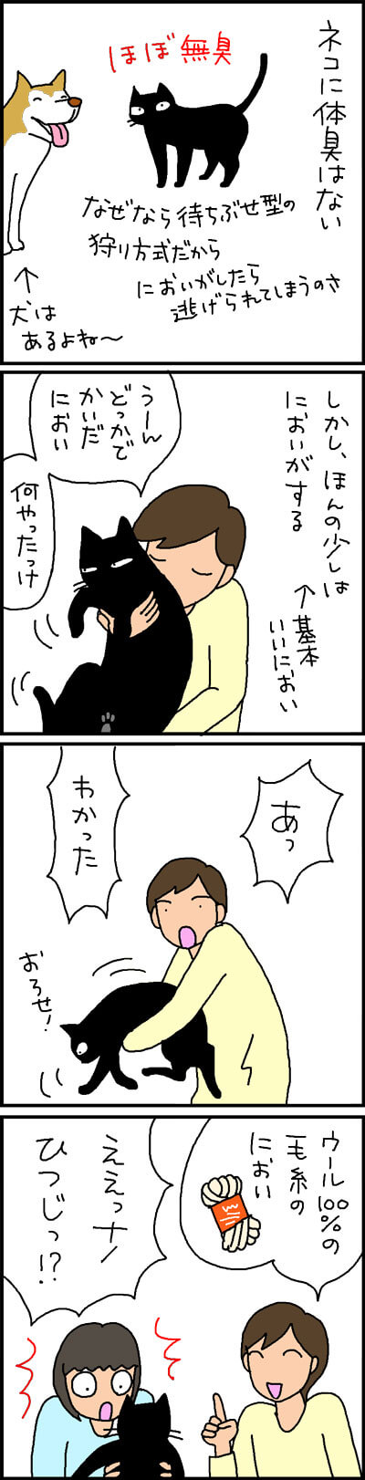 猫のにおい 4コマ猫漫画 ナノトクラス