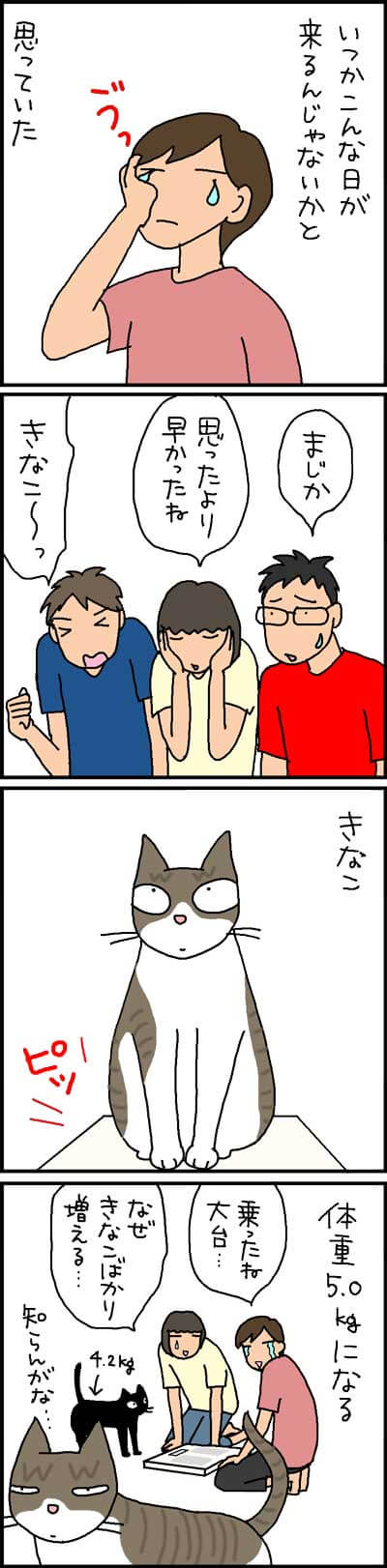 太りつつある猫の4コマ猫漫画