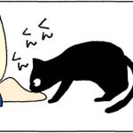 足を噛む猫の4コマ猫漫画
