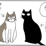 兄が妹に負けた4コマ猫漫画