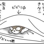 ビビる猫の漫画