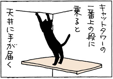 壁紙をはがすネコの4コマ猫漫画