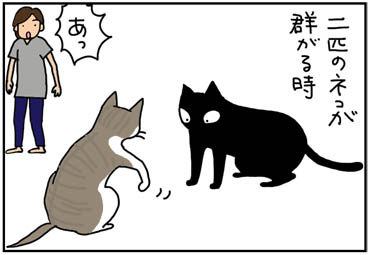 ダンゴムシにじゃれる猫漫画