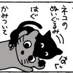 ぬいぐるみを噛む猫の4コマ猫漫画