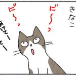 開けてと鳴くネコの4コマ漫画