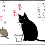 ささみは譲れない猫の4コマ猫漫画