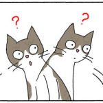 エンドロールを捕まえる猫の4コマ漫画