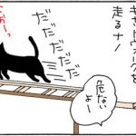キャットウォークから落ちるネコの4コマ漫画