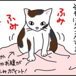 ふみふみする猫の漫画