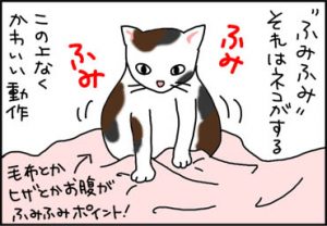 ふみふみする猫の漫画