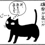 フライパンに入るネコの4コマ猫漫画