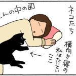 猫の安眠ポイントの4コマ猫漫画