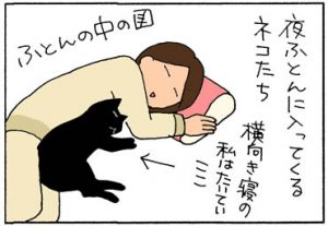 猫の安眠ポイントの4コマ猫漫画