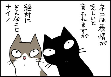 表情の変わる猫の漫画