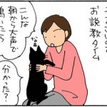 関西人は猫にも厳しい猫漫画
