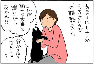 関西人は猫にも厳しい猫漫画