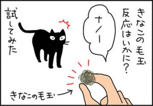 毛玉で遊ぶ猫漫画