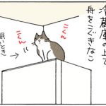 冷蔵庫と壁のすき間に落ちる猫の4コマ漫画