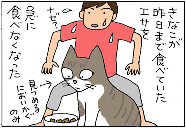 エサを食べなくなった猫の4コマ漫画