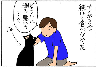 チェック不足 4コマ猫漫画 ナノトクラス