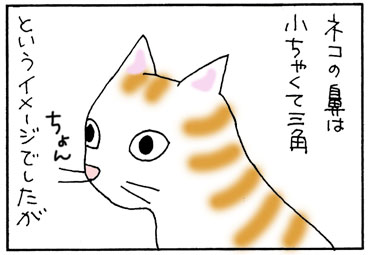 黒ネコの鼻の4コマ猫漫画