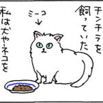 猫と共用の皿を使う4コマ猫漫画