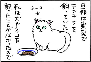 猫と共用の皿を使う4コマ猫漫画