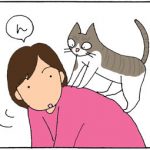 運動神経のよい猫の4コマ猫漫画