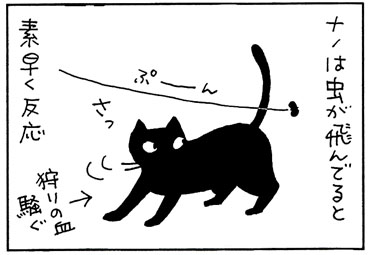 スクリーンセイバーに迷う猫の4コマ猫漫画