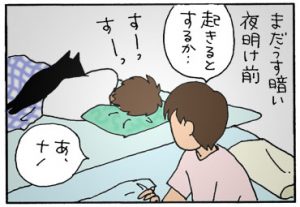黒猫と見間違える4コマ猫漫画