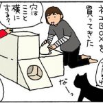 段ボールハウスに入る猫の4コマ漫画