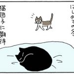 ヘッドロックでネコ団子する4コマ猫漫画