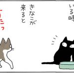 神経質な猫の4コマ猫漫画