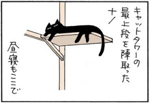 キャットタワーから落ちるネコの4コマ猫漫画